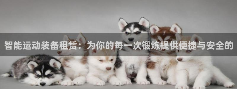 如何把usdt提到钱包：智能运动装备租赁：为你的每一