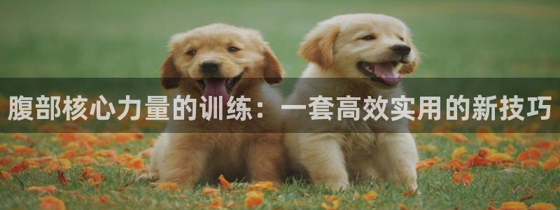 usdt钱包地址能查询哪个交易所：腹部核心力量的训练