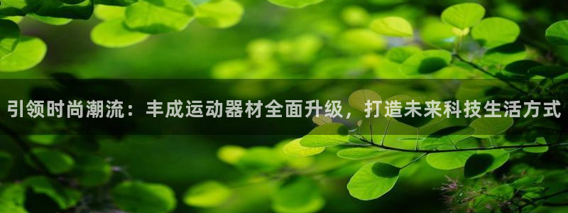 usdt钱包浏览器：引领时尚潮流：丰成运动器材全面升