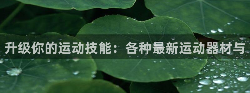 usdt币钱包截图：升级你的运动技能：各种最新运动器