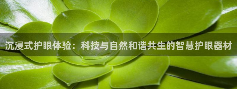 usdt钱包开发教程：沉浸式护眼体验：科技与自然和谐
