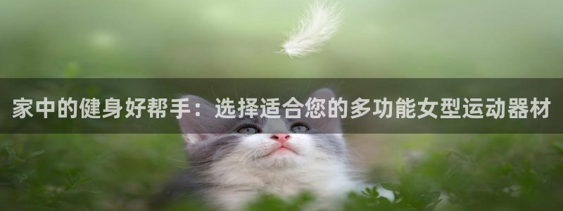 usdt流向可查吗：家中的健身好帮手：选择适合您的多
