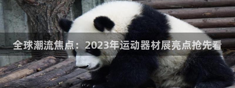 泰国usdt合法吗：全球潮流焦点：2023年运动器材