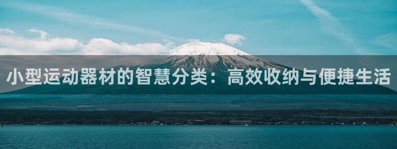 usdt钱包额度：小型运动器材的智慧分类：高效收纳与