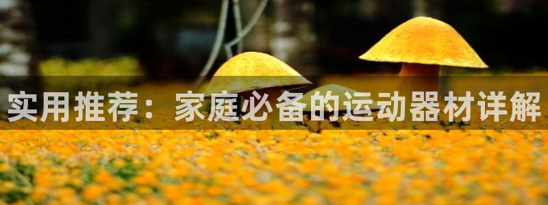 usdt可以直接提现吗：实用推荐：家庭必备的运动器材