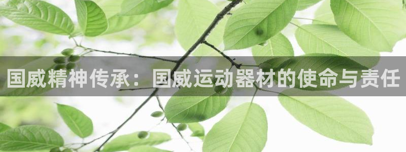 usdt地址域名：国威精神传承：国威运动器材的使命与