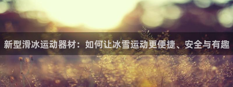 钱包里的usdt：新型滑冰运动器材：如何让冰雪运动更
