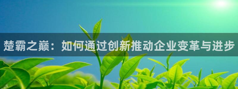 usdt账户申请：楚霸之巅：如何通过创新推动企业变革