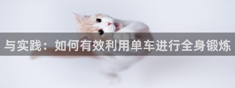 usdt怎么花：与实践：如何有效利用单车进行全身锻炼