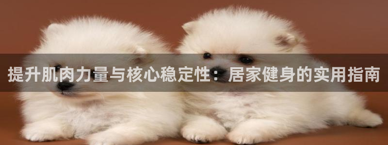 usdt 稳定吗：提升肌肉力量与核心稳定性：居家健身