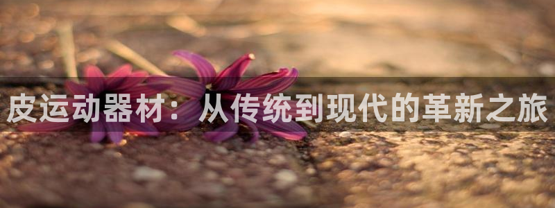 usdt钱包地址怎么弄：皮运动器材：从传统到现代的革