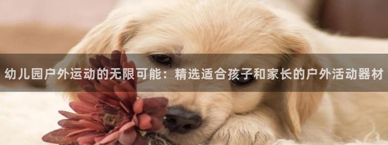 usdt转入imtoken钱包：幼儿园户外运动的无限