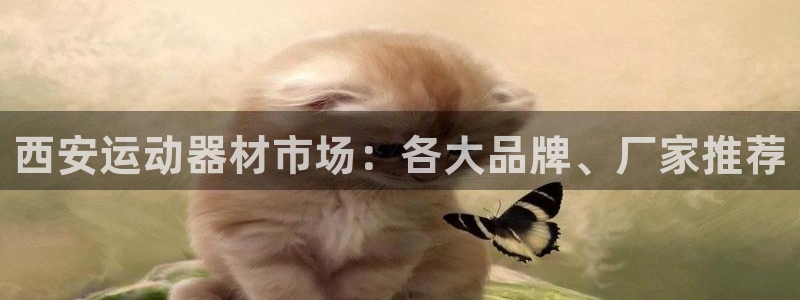 usdt可以转到什么钱包：西安运动器材市场：各大品牌