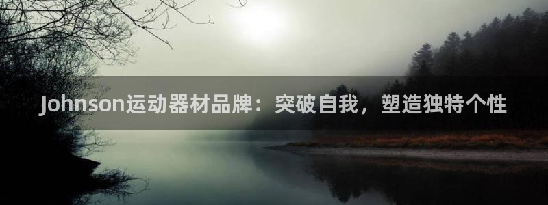 usdt钱包开发教程：Johnson运动器材品牌：突