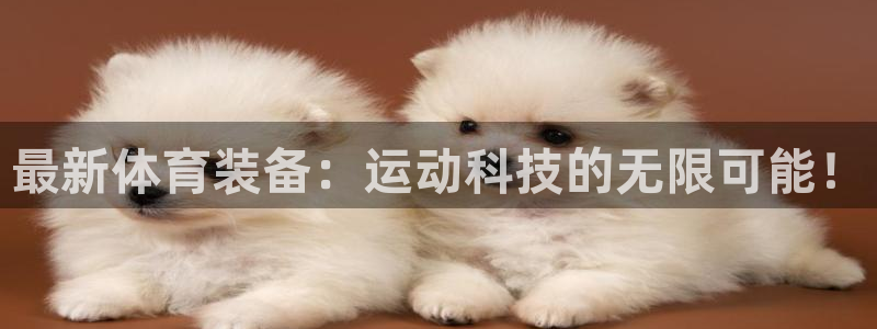 usdt怎么申请：最新体育装备：运动科技的无限可能！