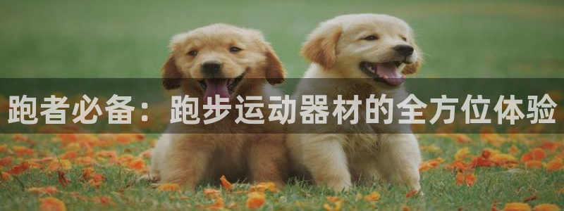 usdt下载地址：跑者必备：跑步运动器材的全方位体验