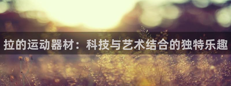 usdt什么币种：拉的运动器材：科技与艺术结合的独特