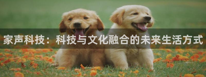 usdt钱包排行：家声科技：科技与文化融合的未来生活