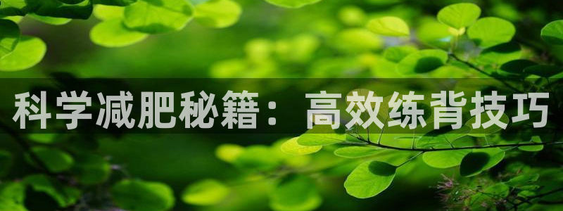 usdt 注册：科学减肥秘籍：高效练背技巧