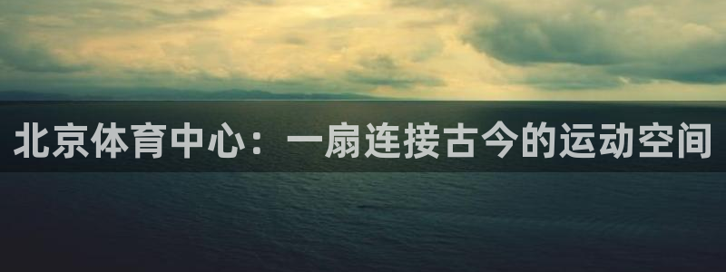 usdt钱包余额模拟器下载：北京体育中心：一扇连接古