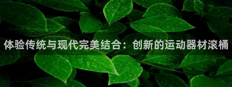下载usdtapp：体验传统与现代完美结合：创新的运