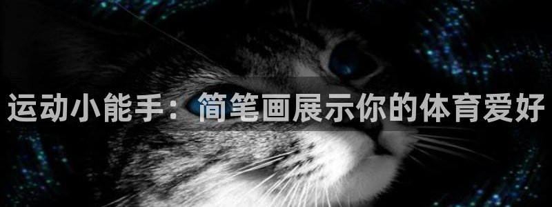 交易usdt合法吗：运动小能手：简笔画展示你的体育爱