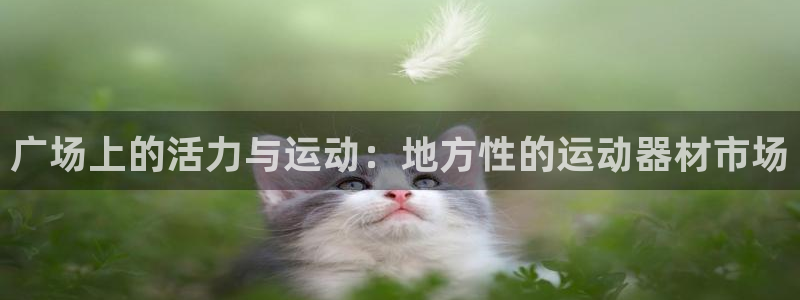 usdt被风控了怎么办：广场上的活力与运动：地方性的