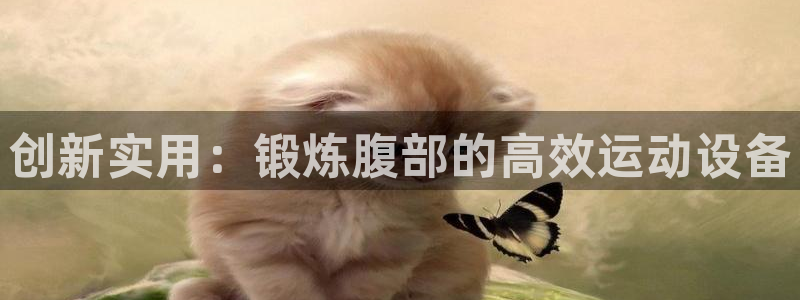 usdt查询到账：创新实用：锻炼腹部的高效运动设备