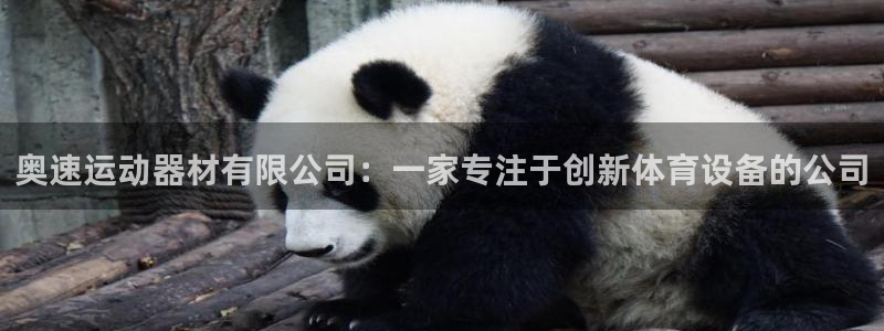 usdt买卖合法吗：奥速运动器材有限公司：一家专注于