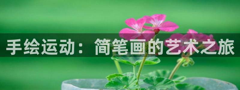 usdt钱包被盗怎么办：手绘运动：简笔画的艺术之旅