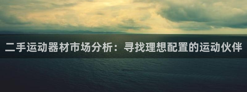 usdt钱包怎么创建：二手运动器材市场分析：寻找理想