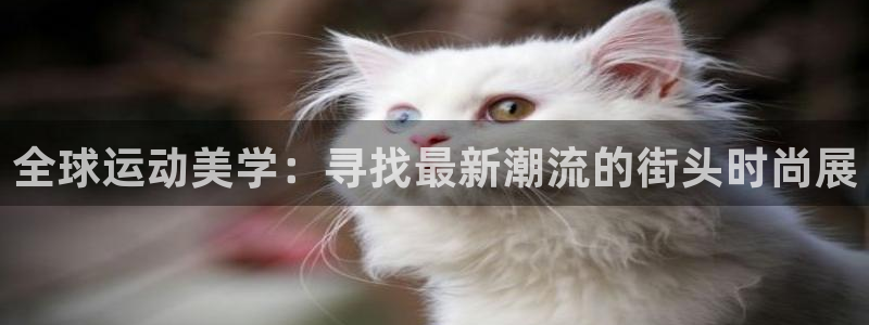 USDT的钱包网址在哪里看：全球运动美学：寻找最新潮