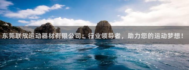 usdt交易防止被冻结：东莞联欣运动器材有限公司：行