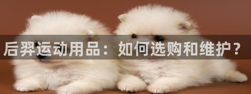 盗usdt钱包骗局：后羿运动用品：如何选购和维护？