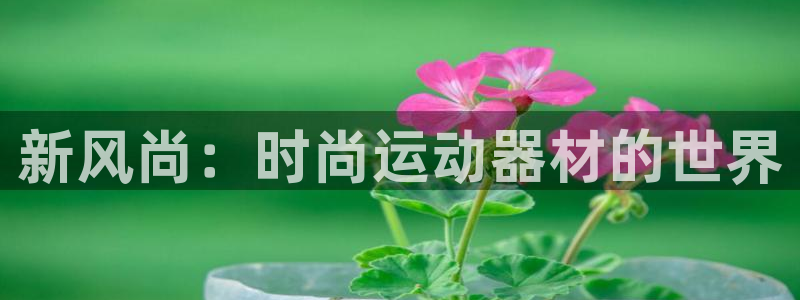 为什么usdt会被冻结：新风尚：时尚运动器材的世界