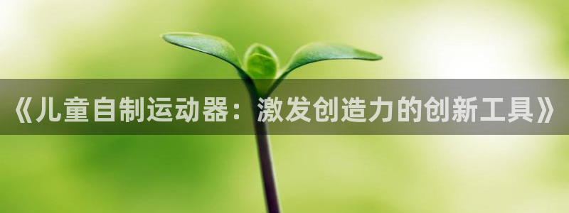 usdt的钱包：《儿童自制运动器：激发创造力的创新工