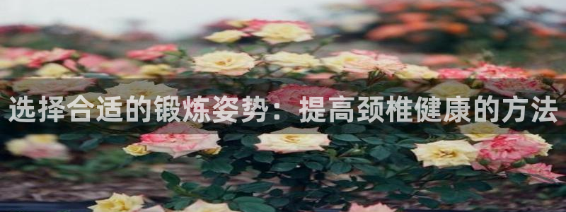 usdt代码：选择合适的锻炼姿势：提高颈椎健康的方法