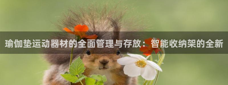 usdt在什么平台上可以买：瑜伽垫运动器材的全面管理