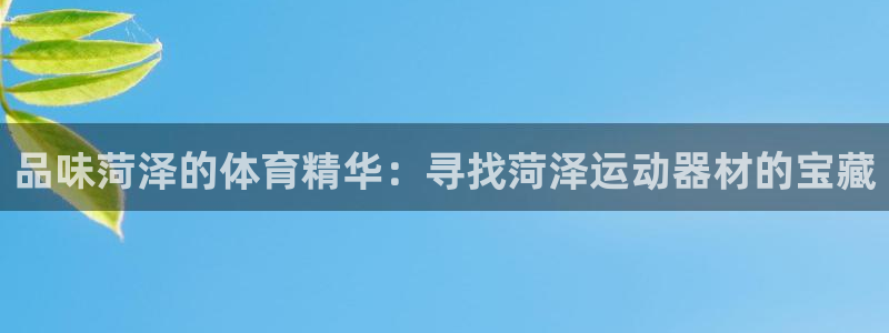 usdt流出：品味菏泽的体育精华：寻找菏泽运动器材的