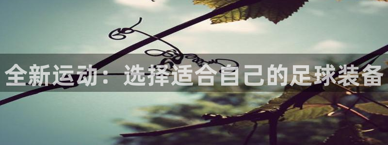usdt钱包网站：全新运动：选择适合自己的足球装备