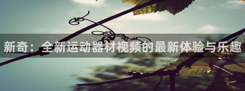 usdt钱包二维码：新奇：全新运动器材视频的最新体验