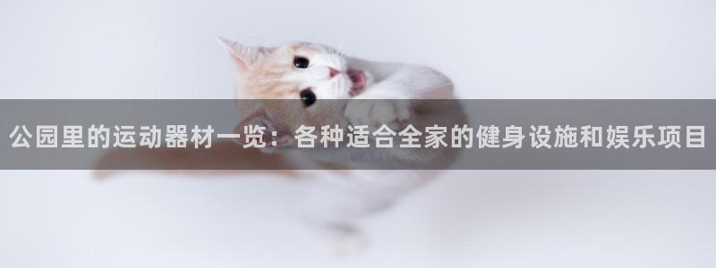 usdt价格怎么看：公园里的运动器材一览：各种适合全