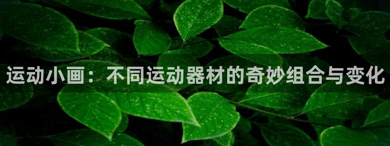 usdt转账记录查询：运动小画：不同运动器材的奇妙组