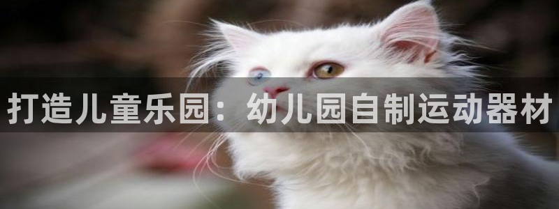 下载USDT钱包需要实名吗：打造儿童乐园：幼儿园自制