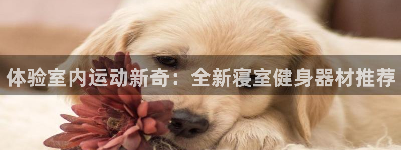 盗取usdt：体验室内运动新奇：全新寝室健身器材推荐