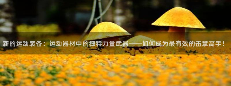usdt交易匿名吗：新的运动装备：运动器材中的独特力