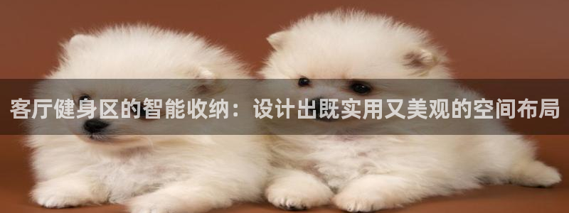 usdt地址在哪看：客厅健身区的智能收纳：设计出既实