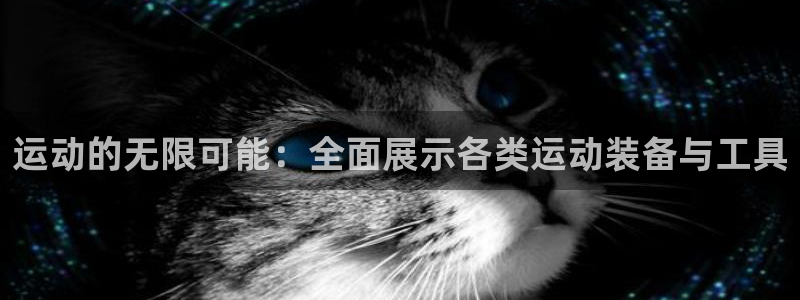 usdt放imtoken：运动的无限可能：全面展示各