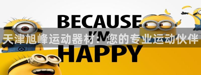 usdt可以平台互转吗：天津旭峰运动器材：您的专业运