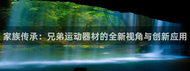 usdt交易那个平台手续费最低：家族传承：兄弟运动器
